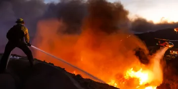 California’da orman yangınları