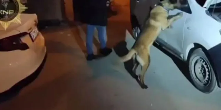 Kütahya’da uyuşturucu operasyonu