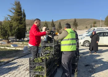 Turhal’da 3 bin 500 çiçek kabirlerle buluştu