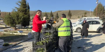 Turhal’da 3 bin 500 çiçek kabirlerle buluştu