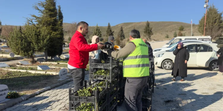 Turhal’da 3 bin 500 çiçek kabirlerle buluştu