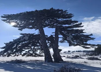 Kırka Mahallesi beyaza büründü