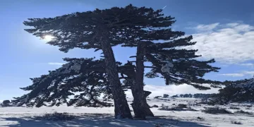 Kırka Mahallesi beyaza büründü