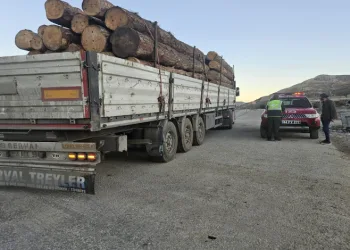 Kaçak ormana karşı denetim yapıldı