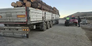 Kaçak ormana karşı denetim yapıldı