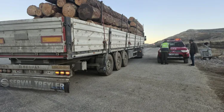 Kaçak ormana karşı denetim yapıldı