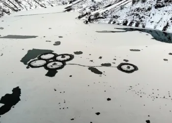 erzincan