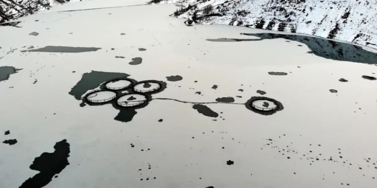 erzincan