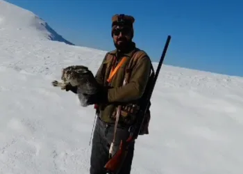 Elleriyle tavşan yakaladı
