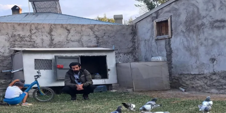 Soba yakarak güvercinlerini donmaktan koruyor