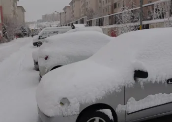 Van’da kar yağışı hayatı olumsuz etkiledi