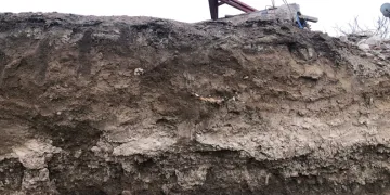 İnşaatta insan kemik kalıntıları bulundu
