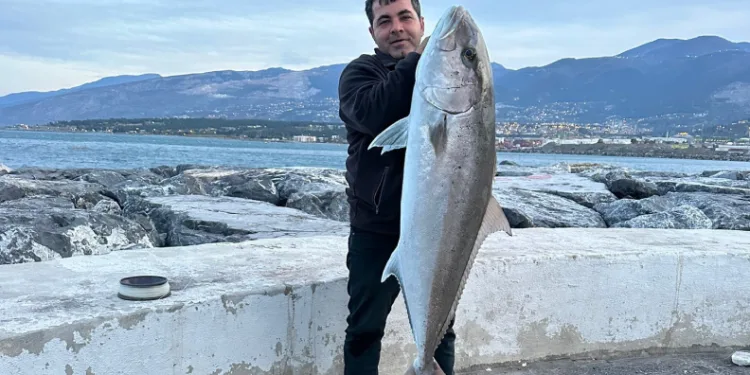 İki dev balığı tek seferde yakaladı