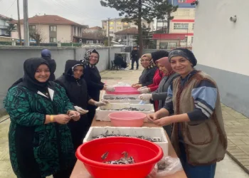 Hamsi festivali coşkusu