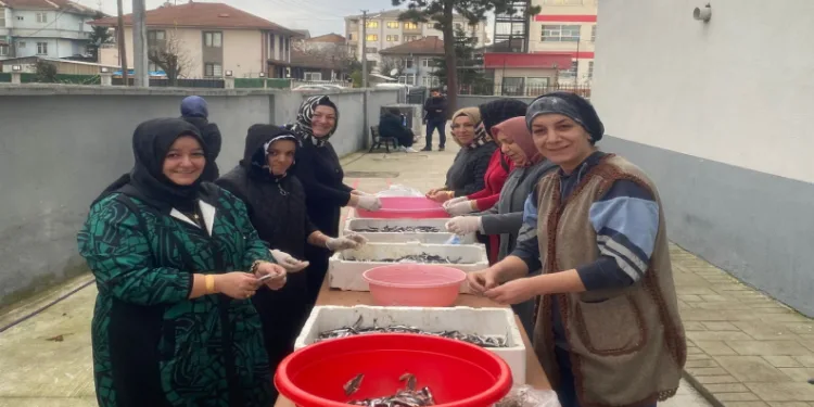 Hamsi festivali coşkusu