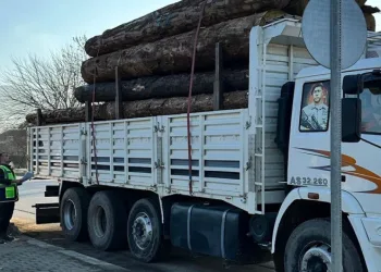 Düzce’de 10 noktada orman emvali kontrolü yapıldı