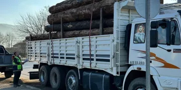 Düzce’de 10 noktada orman emvali kontrolü yapıldı
