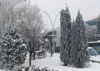 Özalp dondu, ağaçlar kırağı tuttu