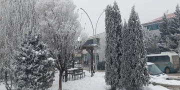 Özalp dondu, ağaçlar kırağı tuttu