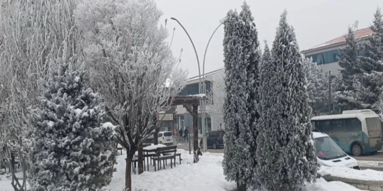 Özalp dondu, ağaçlar kırağı tuttu