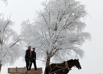 Erzincan’ın Otlukbeli ilçesi buz tuttu!