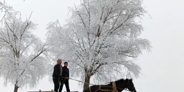 Erzincan’ın Otlukbeli ilçesi buz tuttu!