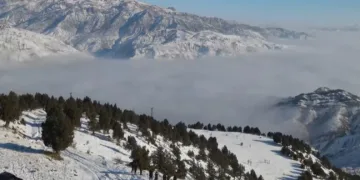 Yaban keçilerinin sarp kayalıklardaki kavgası