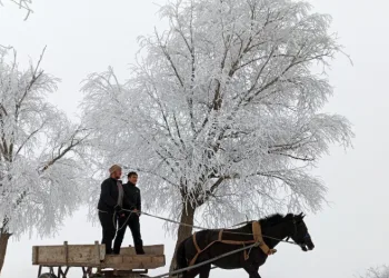 Erzincan’ın Otlukbeli ilçesi buz tuttu