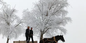 Erzincan’ın Otlukbeli ilçesi buz tuttu