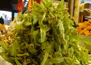 Bitki çaylarına talep arttı