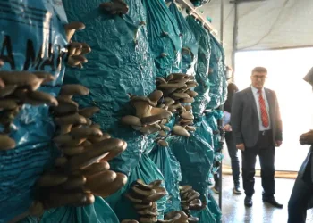 İnhisar’dan Türkiye’ye açılan kapı