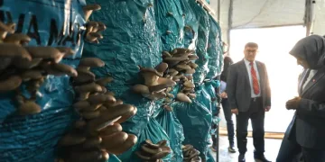 İnhisar’dan Türkiye’ye açılan kapı
