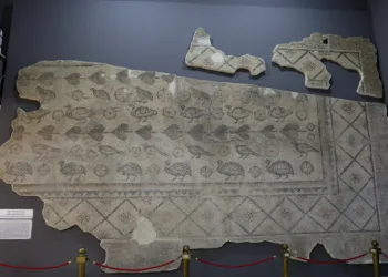 2 bin yıllık mozaiğin parçası ahırdan çıkmayı bekliyor