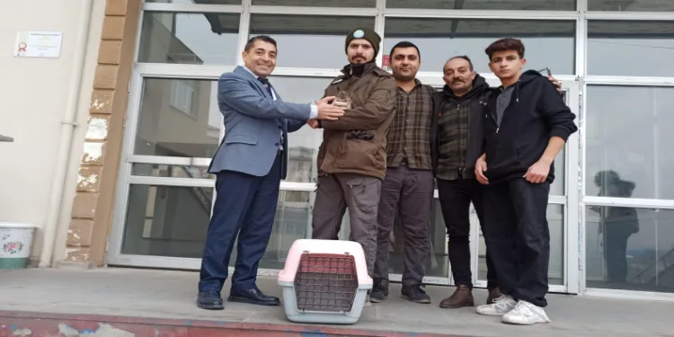 Iğdır’da bitkin halde bulunan kukumav kuşu tedaviye alındı