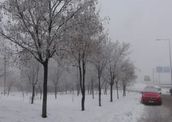 Bitlis’te sis ve dondurucu soğuklar