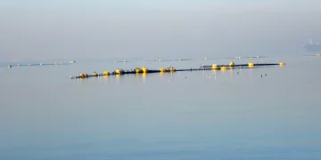 “Yapmamız gereken en ivedi konu”