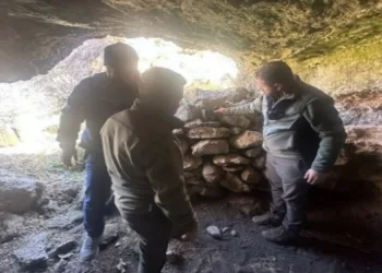Batman’da doğa ve yaban hayatı gözetim altında
