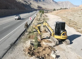 Batman’da 3 bin 620 adet çam fidanı dikildi