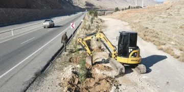 Batman’da 3 bin 620 adet çam fidanı dikildi
