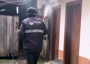 Kahverengi kokarca ile mücadele sürüyor