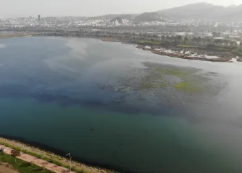 İzmir İnciraltı sahilini deniz marulu sardı
