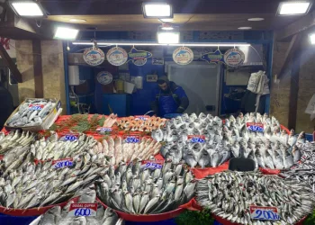 balık