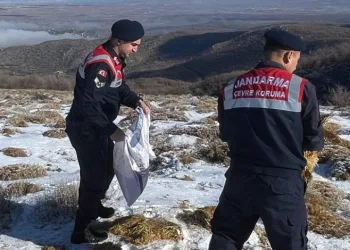 Ekipler yaban ve sokak hayvanları için dağlarda