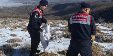 Ekipler yaban ve sokak hayvanları için dağlarda