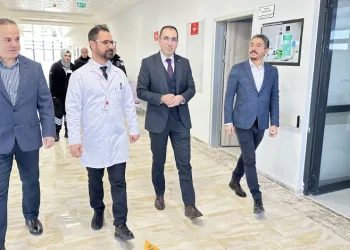 Kaymakam Özdemir Midyat ADSM’de incelemelerde bulundu