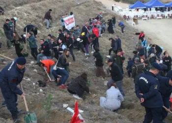 Bilecik’te 473 bin fidan toprakla buluştu