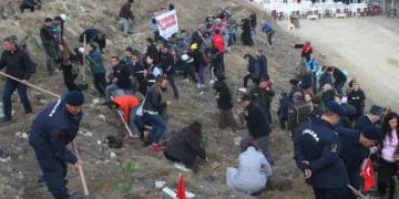 Bilecik’te 473 bin fidan toprakla buluştu