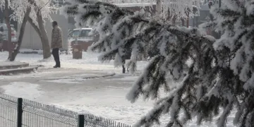 Göle Eksi 25’i Gördü