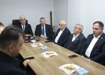 “Kahverengi kokarca Karadeniz’de evlerin çatısına çıkıyor”