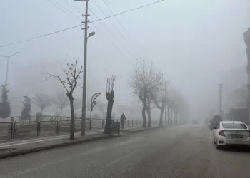Tosya’da sis ulaşımı olumsuz etkiledi